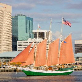 American Rover Downtown Norfolk