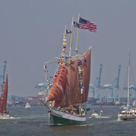 American Rover in Parade of Sail