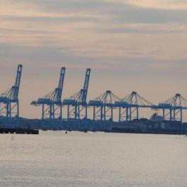Container Cranes in the Harbor