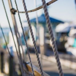 American Rover lines