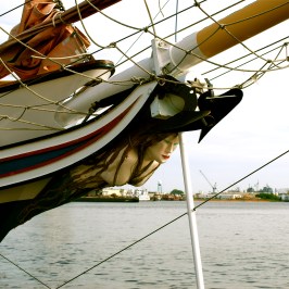 American Rover Bow Art