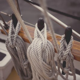 American Rover pin rail