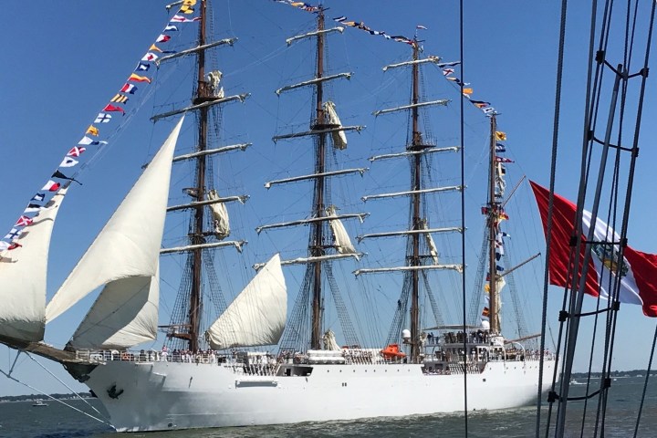 Large tall ship with multiple sails and colorful flags, sailing on a sunny day.